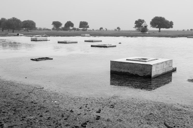 Nature-based solution for quenching thirst in the driest place of India - 'Beris' (shallow sweet-water wells) emerging out of the receding waters of  Viprasar, a rainfed pond in Thar Desert, Jaisalmer district, Rajasthan